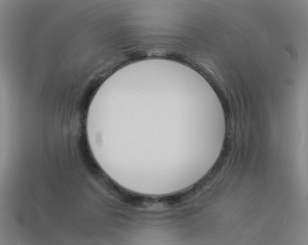X0000113990311200910021015