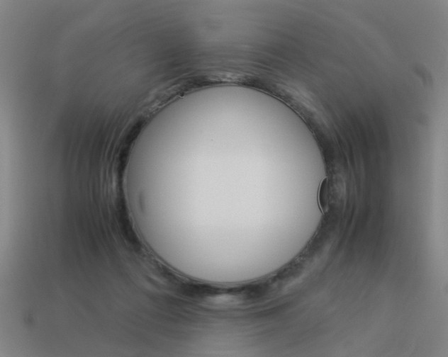 X0000113990312200910021015