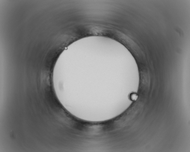 X0000113990313200910021015