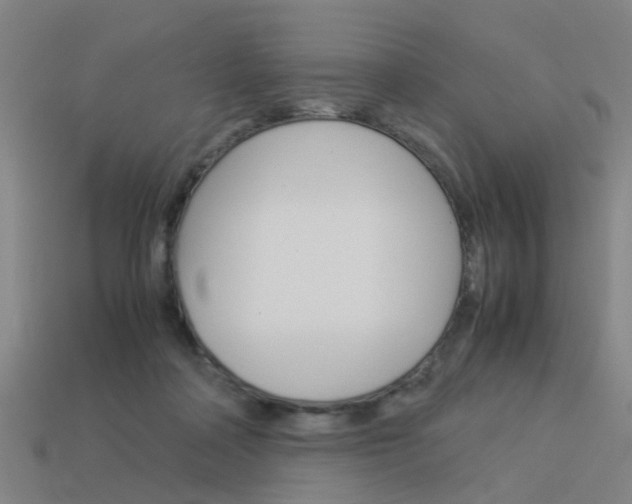 X0000113990314200910021015