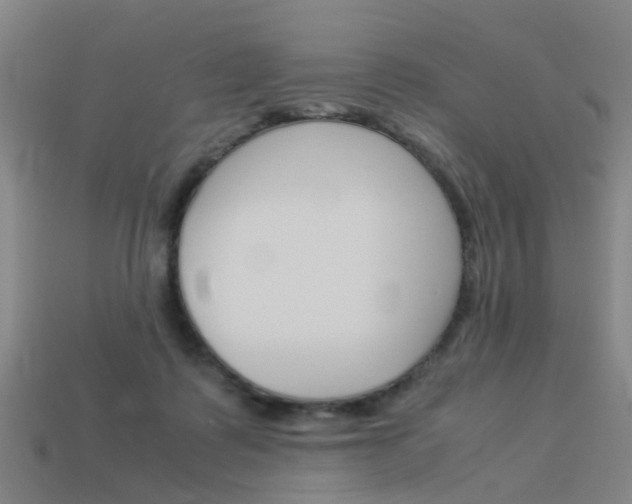 X0000113990315200910021015