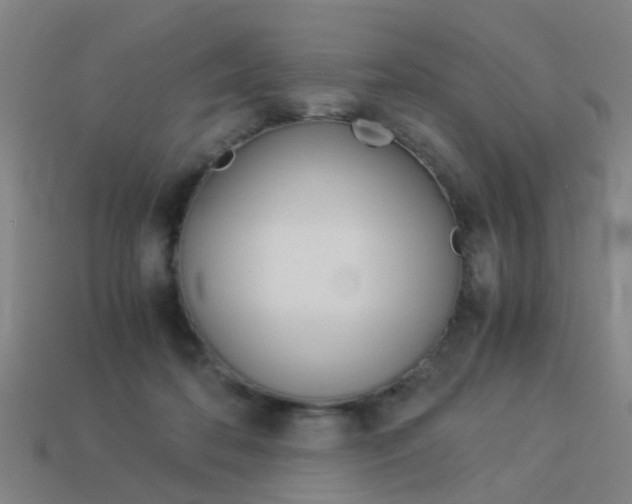 X0000113990316200910021015
