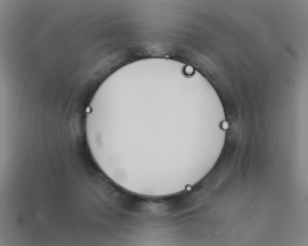 X0000113990317200910021015