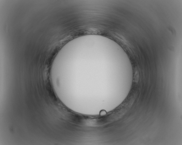 X0000113990318200910021015