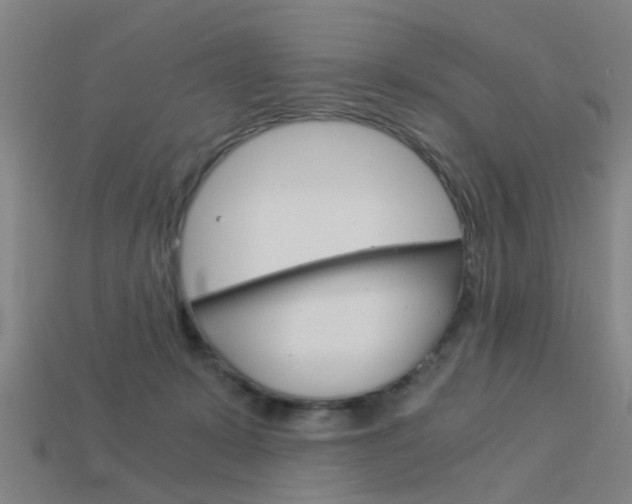 X0000113990319200910021015
