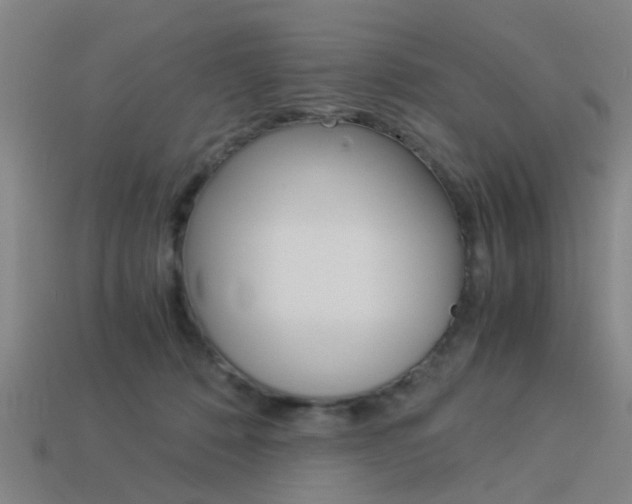 X0000113990320200910021015