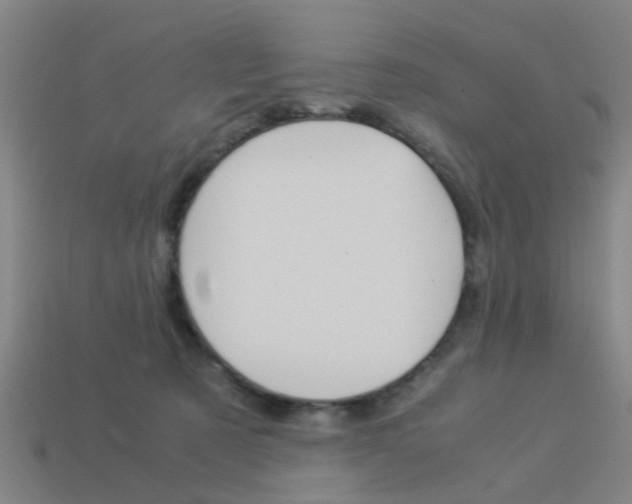 X0000113990321200910021015