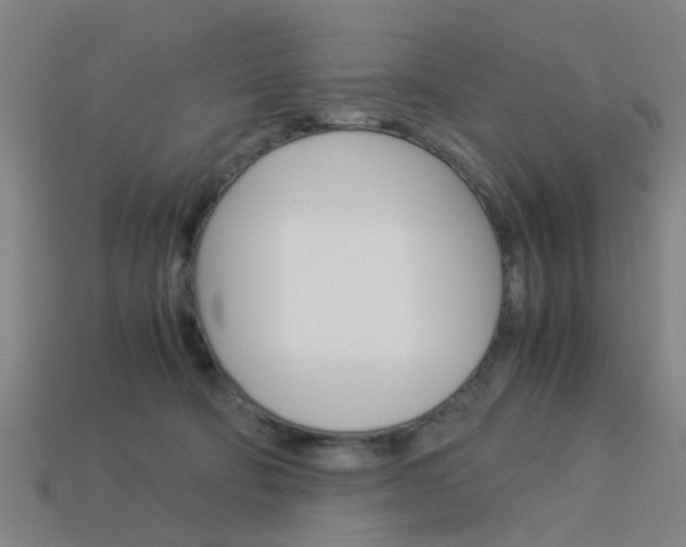 X0000113990322200910021015