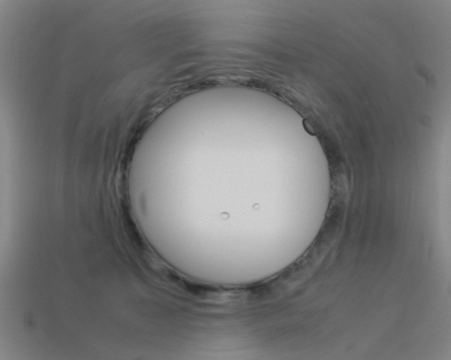 X0000113990323200910021015