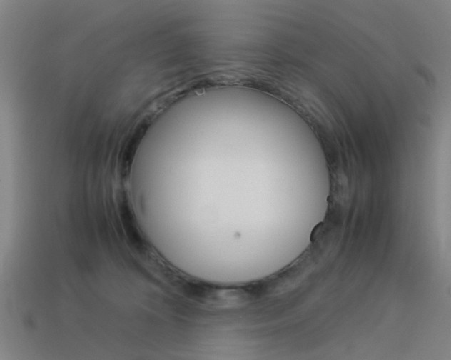 X0000113990324200910021015