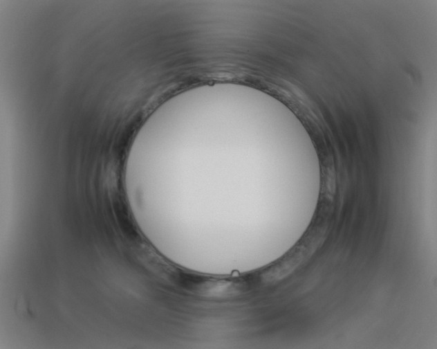 X0000113990326200910021015