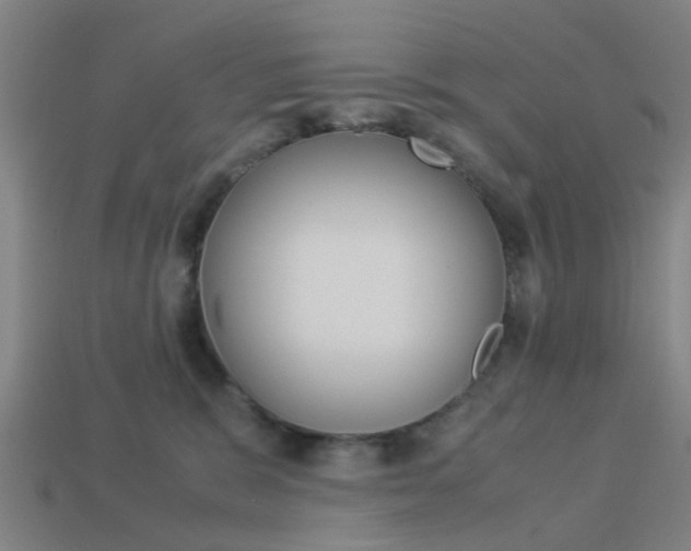 X0000113990327200910021015
