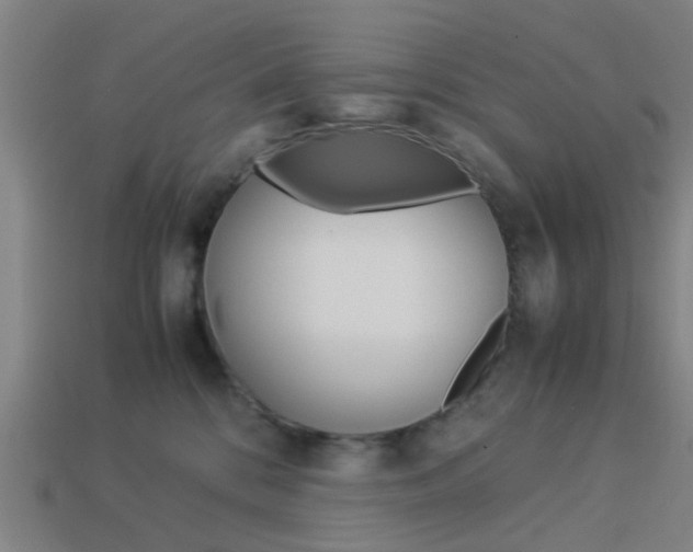 X0000113990328200910021015