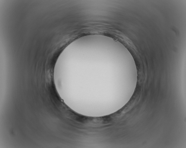 X0000113990329200910021015
