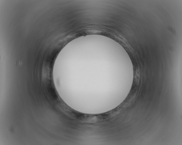 X0000113990330200910021015