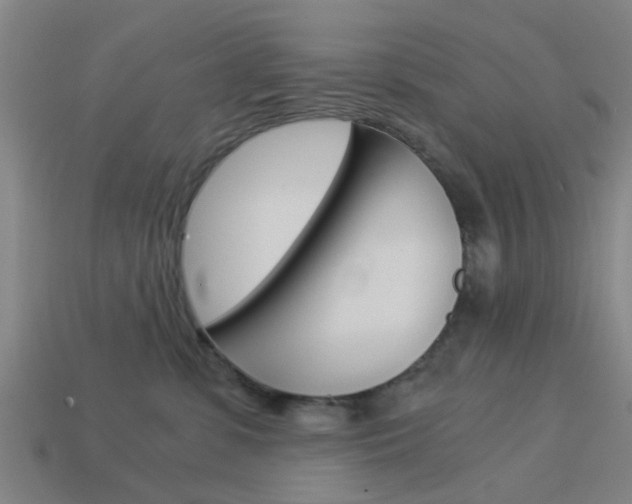 X0000113990331200910021015