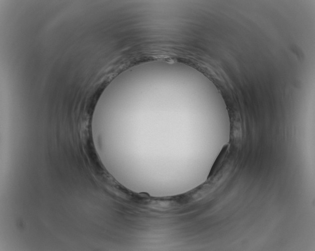 X0000113990332200910021015