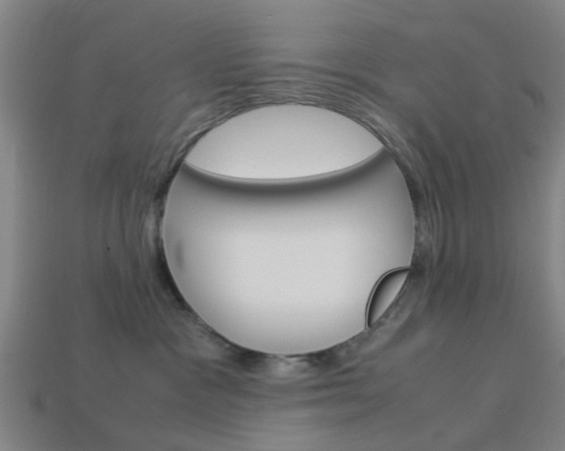 X0000113990333200910021015