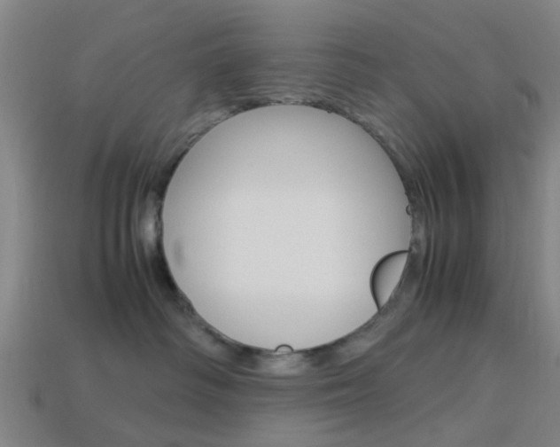 X0000113990334200910021015