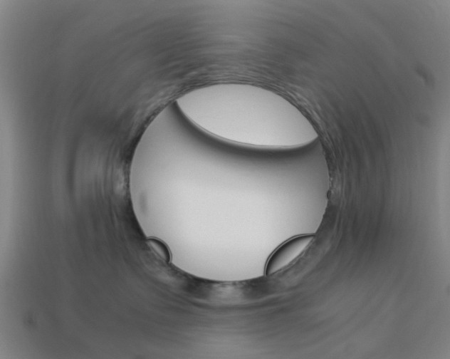 X0000113990335200910021015