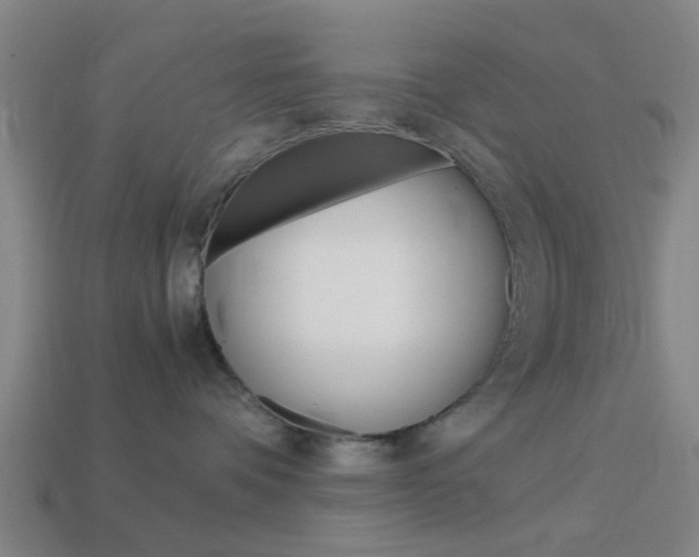 X0000113990336200910021015