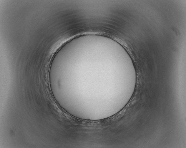 X0000113990337200910021014