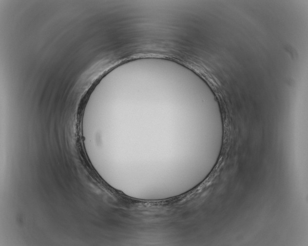 X0000113990338200910021014