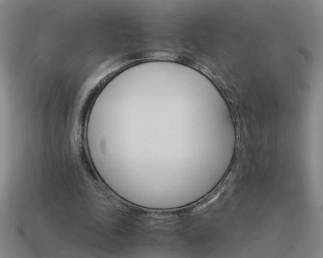 X0000113990343200910021014