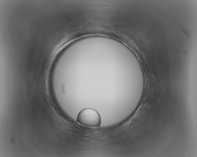 X0000113990344200910021014