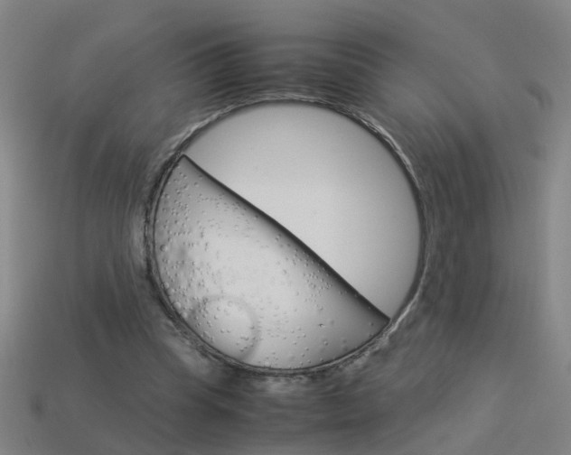 X0000113990345200910021014