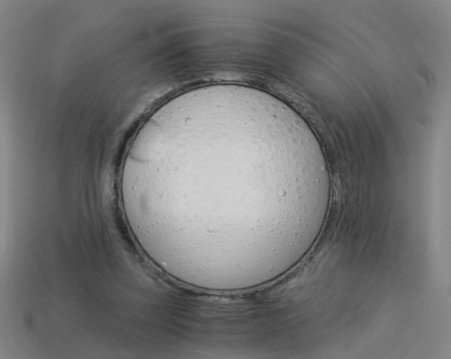 X0000113990347200910021014