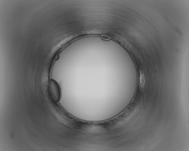 X0000113990348200910021014