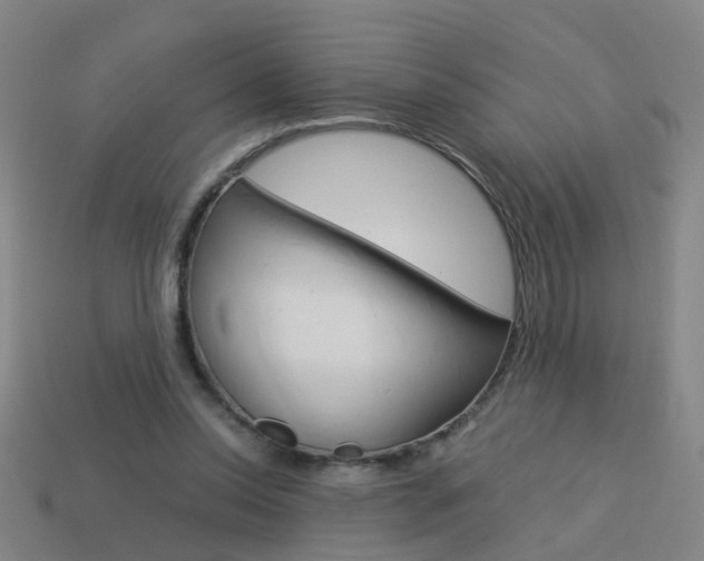 X0000113990350200910021014