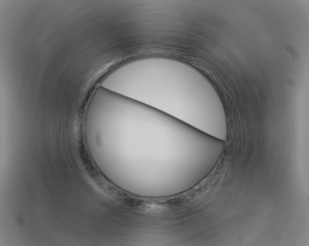 X0000113990352200910021014