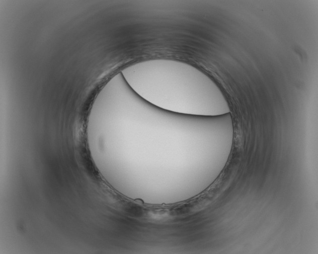 X0000113990355200910021014
