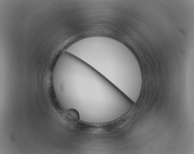 X0000113990356200910021014