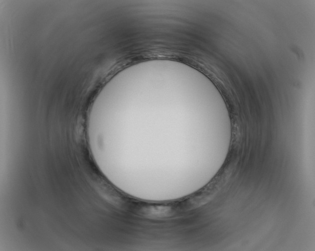 X0000113990361200910021014