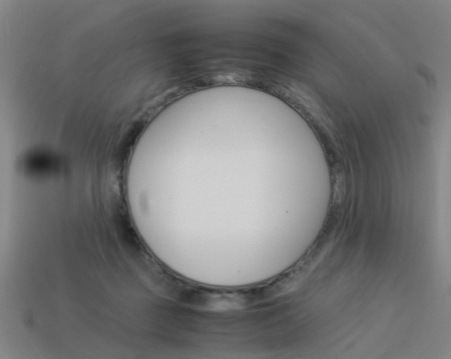 X0000113990363200910021014