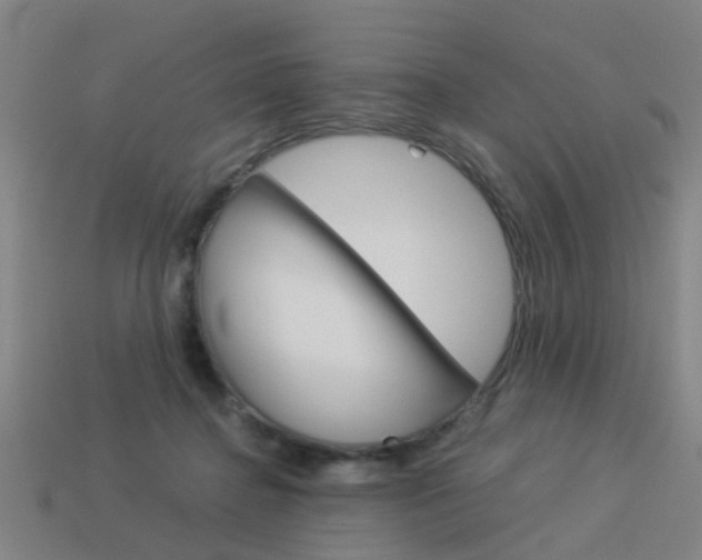 X0000113990364200910021014