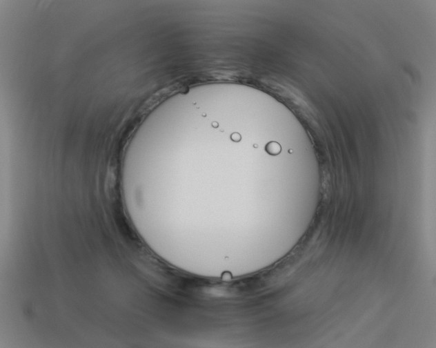 X0000113990365200910021014