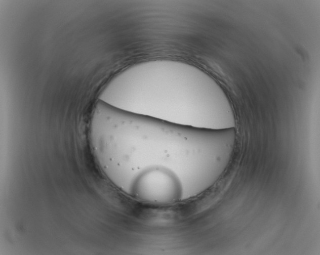 X0000113990366200910021014