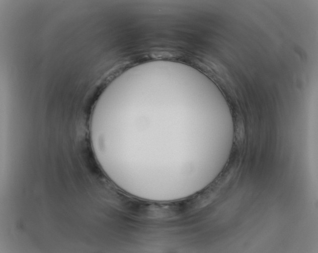 X0000113990367200910021014