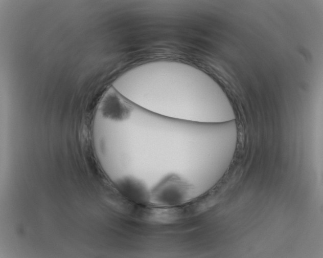 X0000113990371200910021014