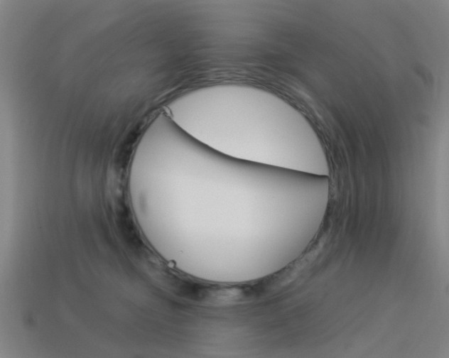 X0000113990374200910021014