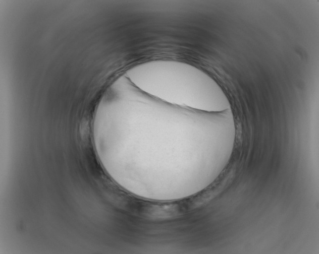 X0000113990375200910021015