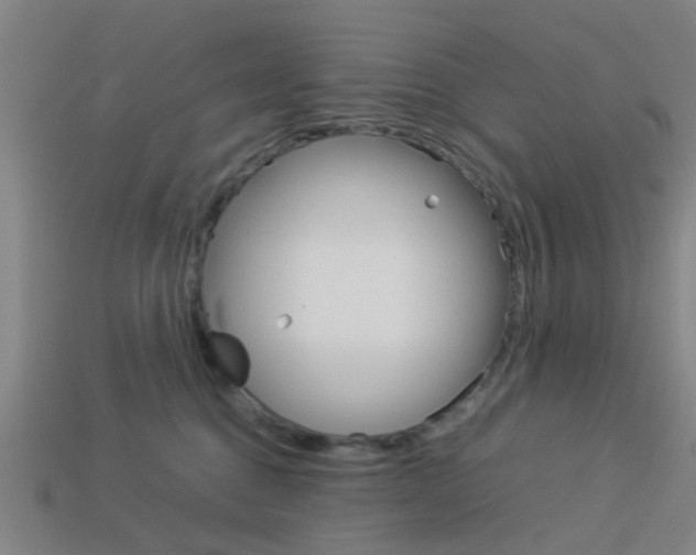 X0000113990376200910021015