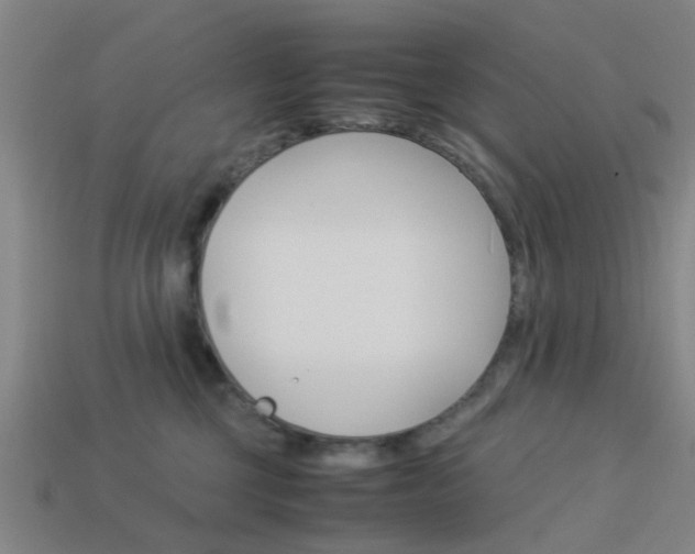 X0000113990377200910021015