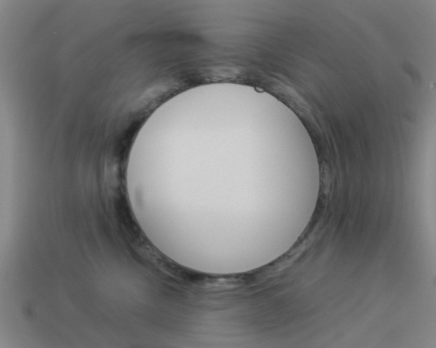 X0000113990378200910021015