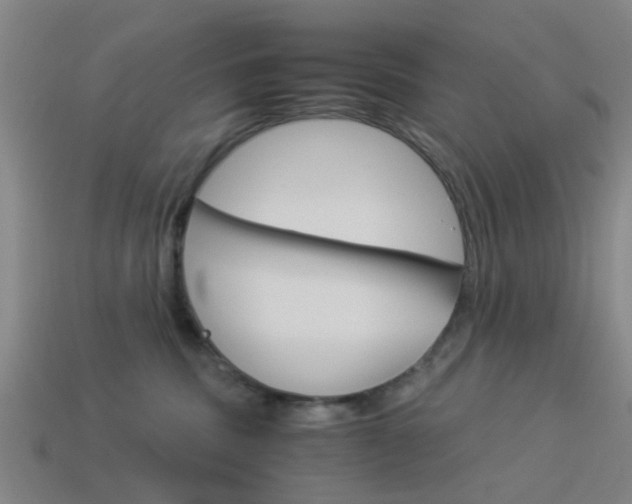 X0000113990379200910021015