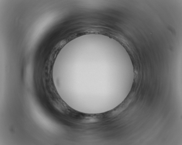 X0000113990381200910021015